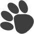 Pawsitve Adventures - Paw around here!