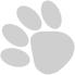 Pawsitve Adventures - Paw around here!